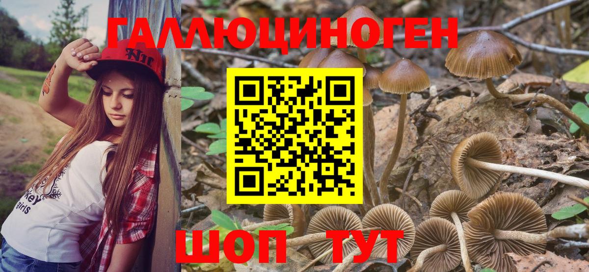 Галлюциногенные грибы MAGIC MUSHROOMS  Псилоцибиновые грибы Magic Shrooms  Вход с VPN  Красноуфимск 